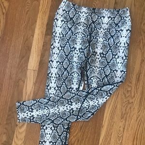 Alala Leggings